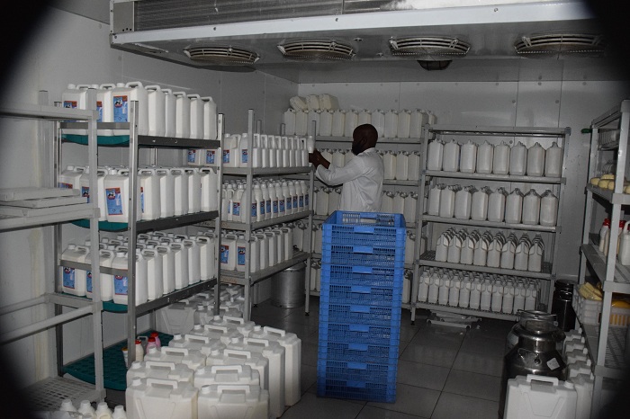 Ikaragiro ubu rirakora neza rikaba rigeze ku rwego rwo gutunganya amata angana na litiro 2500 ku munsi