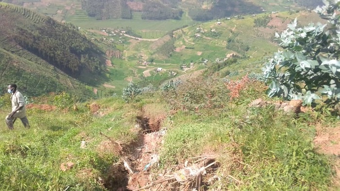 Imisozi yari yaracitseho imikoki kubera isuri ijya no kwangiza igishanga gihingwa none yarasubiranye