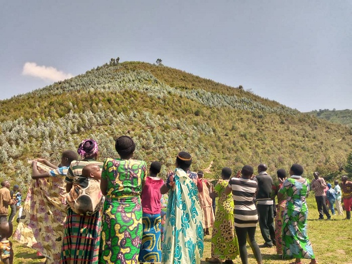 Bamwe mu basazuriwe amashyamba barabyishimiye kuko ngo nta musaruro babonaga