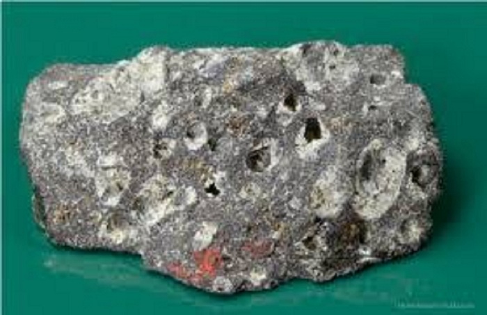 Gikukuru ni umuti w'indwara zitandukanye (Ifoto: www.mamaurwagasabo.rw)