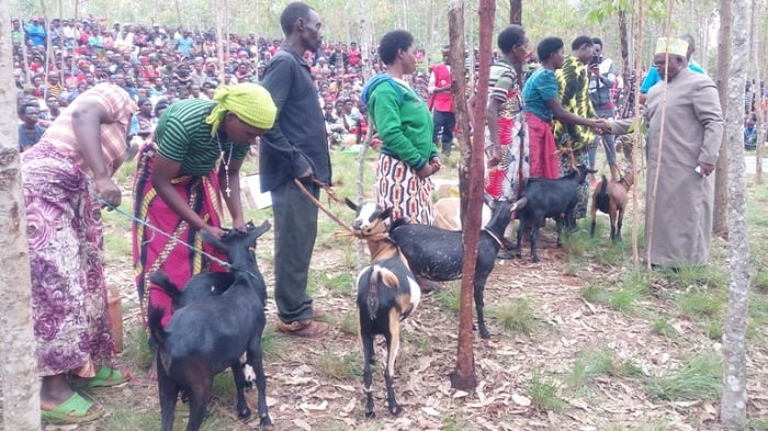 Abanyagisagara 20 bahawe ihene