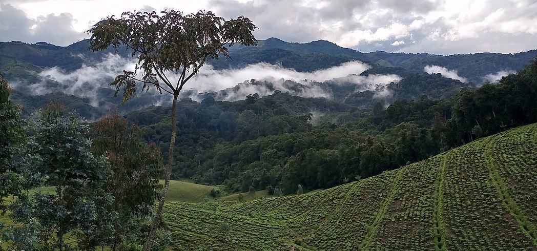 Abaturiye Pariki ya Gishwati-Mukura barishimira iterambere ibagejejeho 