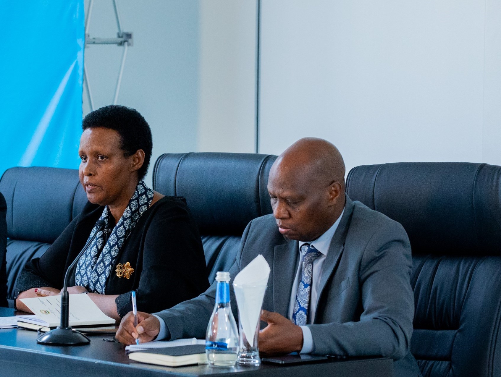 NEC yasobanuye impamvu PDI na DGPR zishobora kugaragara mu Nteko