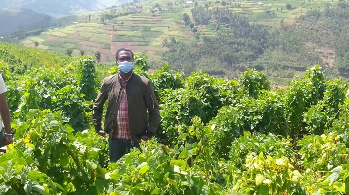 Umuyobozi muri Green Gicumbi ushinzwe kurwanya isuri, Nsengumuremyi