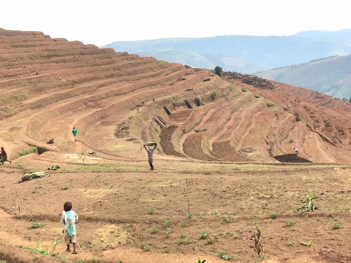 Imisozi yari ihanamye yatunganyijweho amaterasi y'indinganire