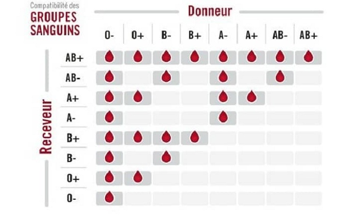Umurongo utambitse ugaragaza ubwoko bw