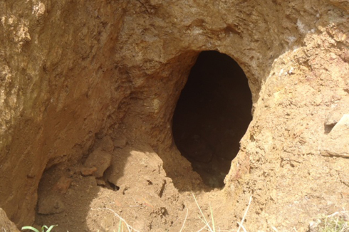 Abacukura amabuye bihisha mu myobo kuko igera kure cyane.