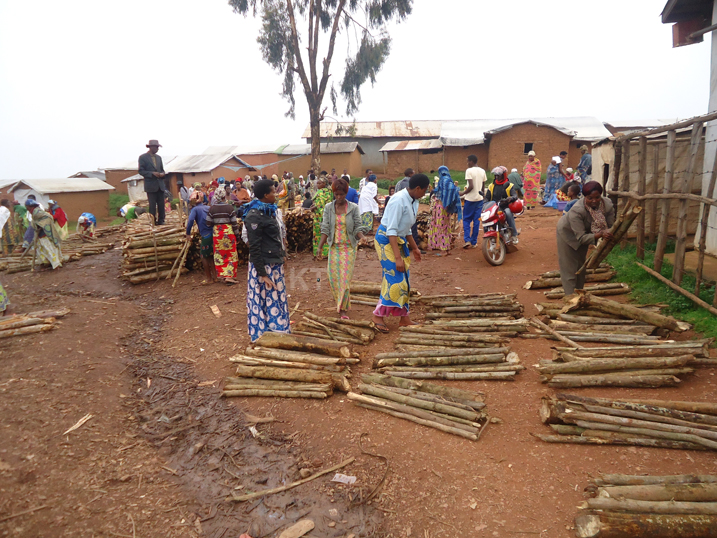 Imbabura zizafasha kugabanya ingano y'ibiti bacana ndetse bigishwe n'uruhare rwa bo mu kubungabunga ibidukikije aho batuye