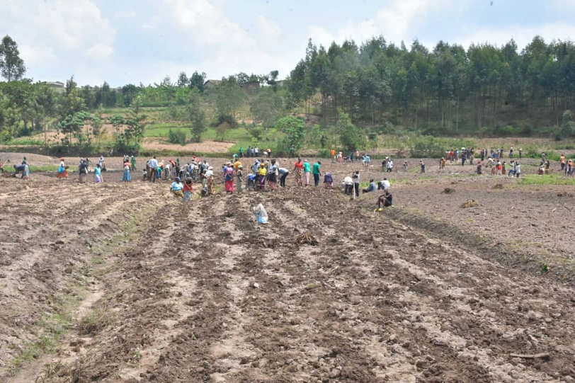 Abahinzi barifuza kubakirwa ubwanikiro bw'ibigori