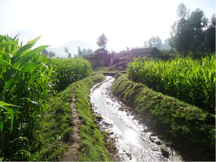 Gusibura rigore byarinze imyaka y'abaturage kwangirika muri iki gihe cy'imvura.