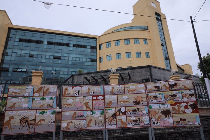 Inkuru zikoze mu buryo bw'amashusho zitera amatsiko