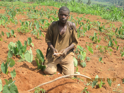 Aha Nzabonimpa yararangije gutega ifuku agitegereje icyo bitanga.