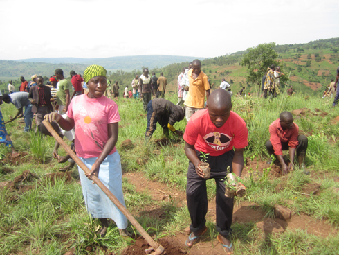 Abaturage mu muganda wo gutera ibiti.