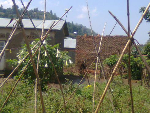 Iri tanura ryegeranye n'inzu y'umuturage ku buryo byatera impanuka.