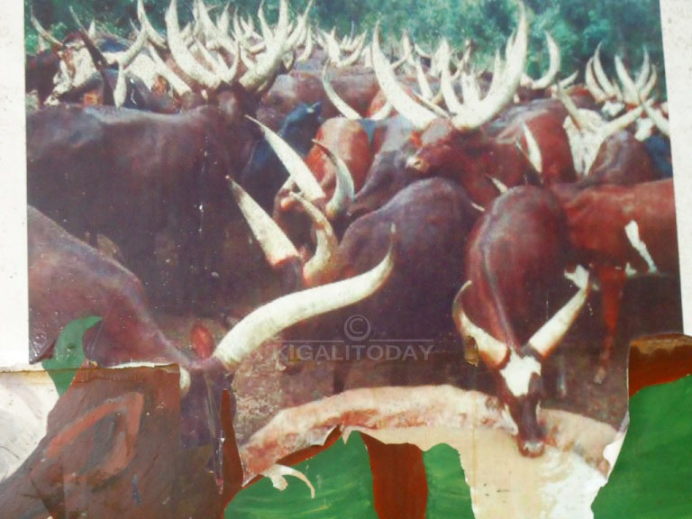 Hahyizwe ibyapa n'ibirango bitandukanye byerekana amateka yo Mu Kunyu