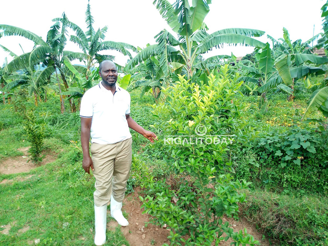 Haji wagize uruhare rukomeye mu guhindurira ubuzima abanyamuryango ba Koperative Urukundo