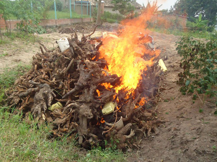 Hanatwitswe ibiti bya Kabaruka.