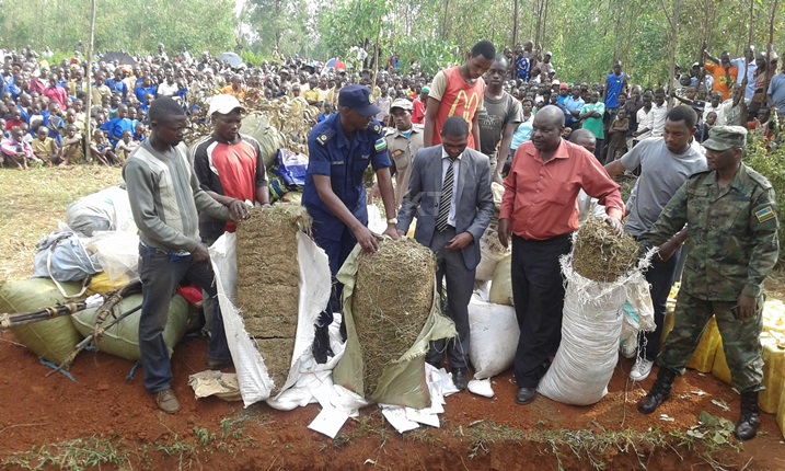 Urwo ni urumogi narwo rwangijwe.