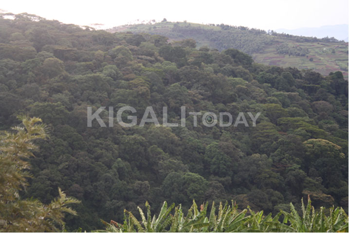 Haracyashakishwa abandi bafite uruhare mu kwangiza Ishyamba rya Mukura.