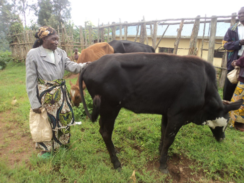 haremewe n'abandi baturage batishoboye.