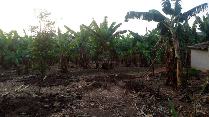 Hari abahisemo kurimbura za Fiya 25 kuko ngo babura aho bazerekerana.