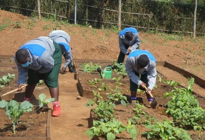 Hari abakuze bigishwa imyuga izabafasha igihe basoje amasomo