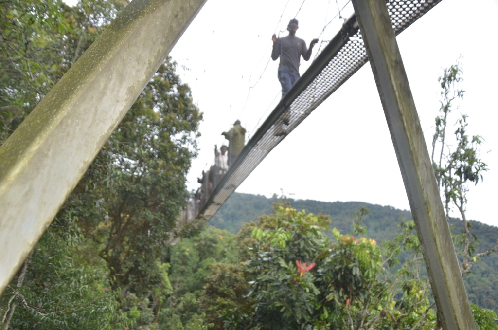 Hari aho abantu bagera bakazamuka nk'abagenda ku musozi