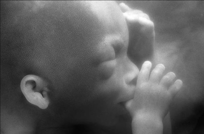 Hari impinja zonka urutoki zikiri mu nda