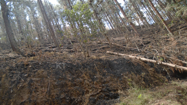 Muri Nyaruguru, hari n