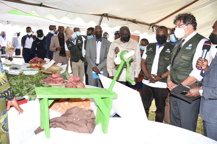 Abahinzi bafashijwe kubona imbuto z'indobanure kandi zitanga umusaruro mwinshi