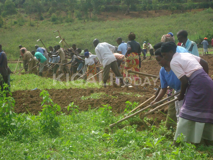 Abahinzi bakoreye RAB basaba kwishyurwa (photo archive).