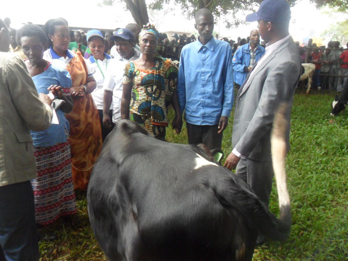 Muri uyu muhango abahawe inka mbere boroje bagenzi babo batari bazifite.