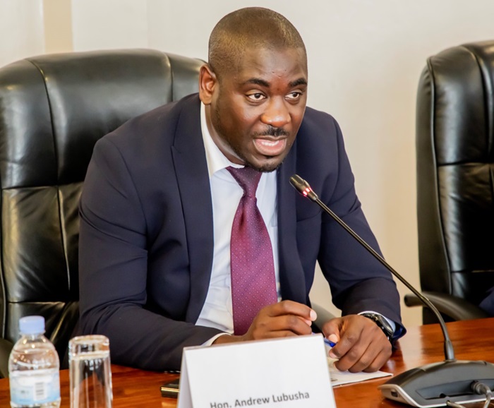 Hon. Rubusha waje ayoboye itsinda ryaturutse muri Zambia