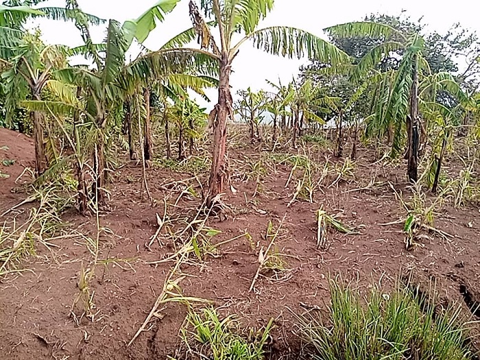 Imyaka yarangiritse bikomeye kubera ibyo biza