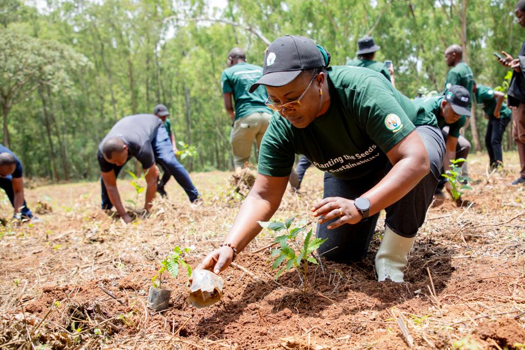 Minisitiri Mujawamariya atera igiti