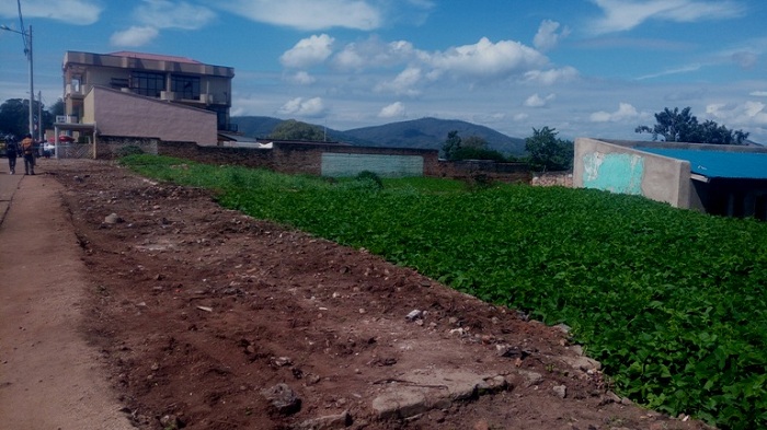 Abafite ibibanza batarabonera ubushobozi bwo kubaka basabwe kuba babihinzemo imyaka migufi cyangwa kuba babishyizemo ubusitani, bakabikuramo ibihuru n'ibyatsi bigaragara nabi mu mujyi