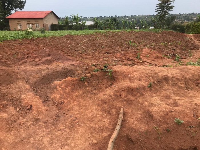 Muri uyu murima ni ho hari umwobo wakuwemo imibiri