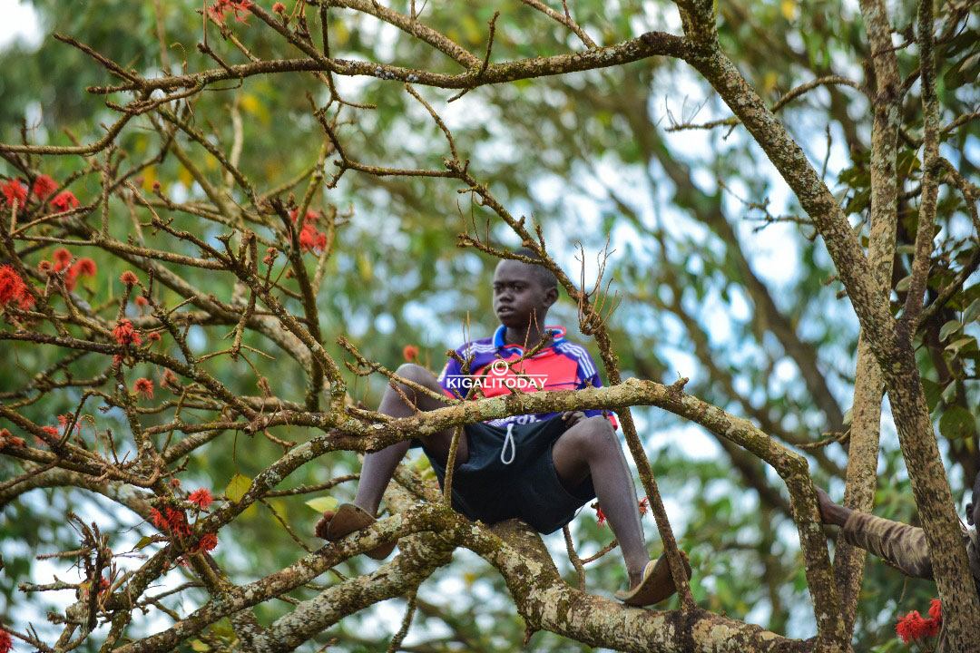 Yiyicariye mu giti kugira ngo azibone neza