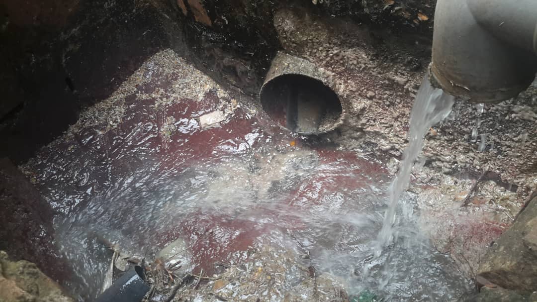 Ibice bimwe na bimwe by