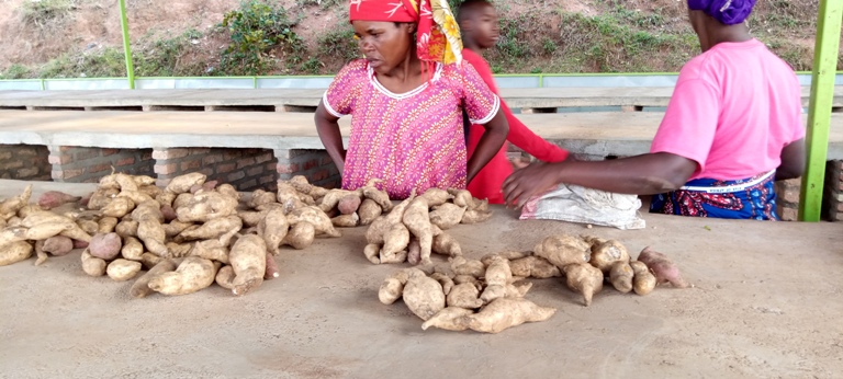Uyu mubyeyi aribaza ukuntu igitebo cy'ibijumba yaje gucuruza kiri buvemo ikilo cy'umuceri gusa