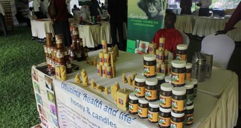 Bimwe mu bikorwa abaturiye Pariki y'Ibirunga bakoa mu rwego rwo kwiteza imbere aho kuyangiza.