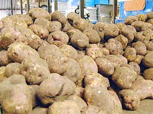 Ubuhinzi buri mu byateje imbere Uzabakiriho.