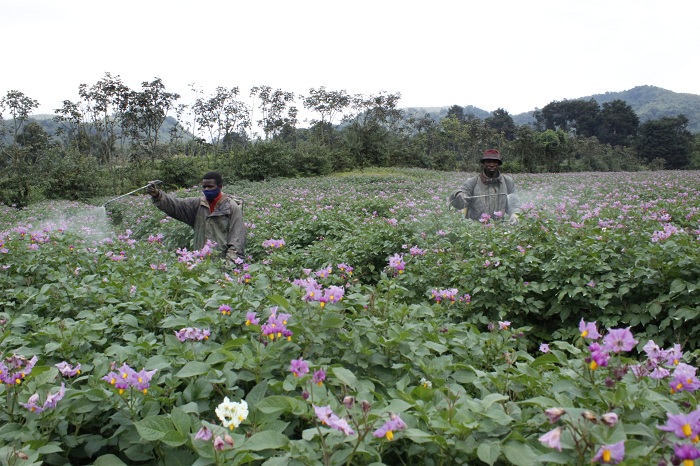 Abakozi be ngo bamwigiraho byinshi