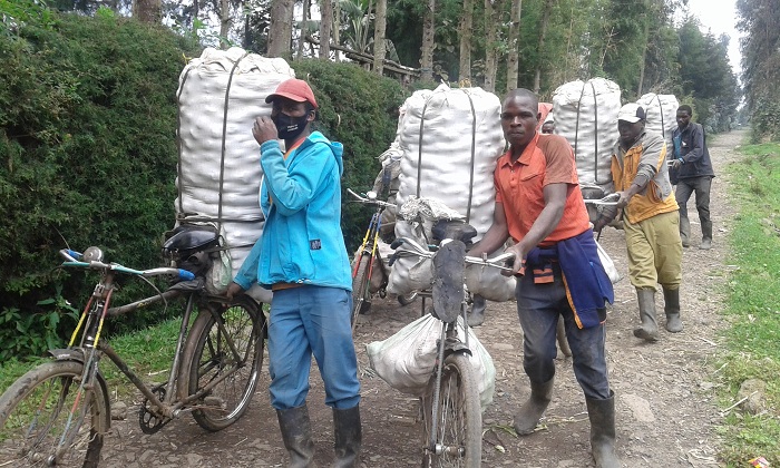 Abatunda ibirayi ku magare nabo ngo birabatunze
