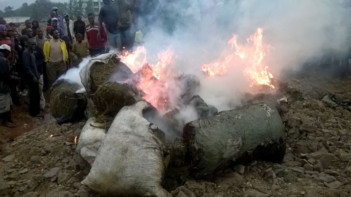 Ibiro 356 n'uduphunyika 127 by'urumogi byatwitswe.