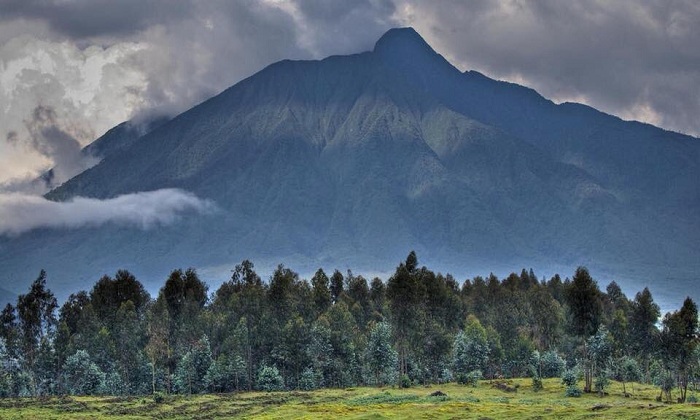 Pariki y'Igihugu y'Ibirunga