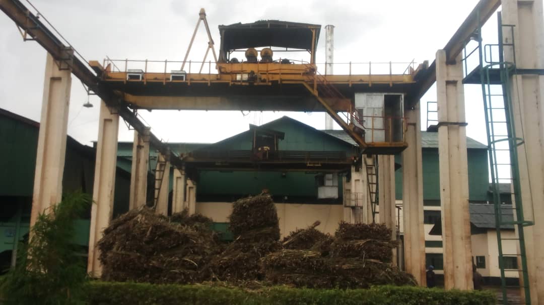 Ibisheke bitegereje gutunganywa ngo bikurwemo isukari