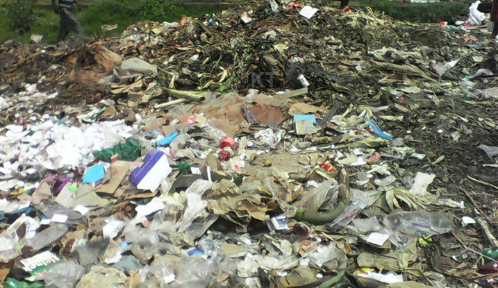 Ibishingwe abandi bafata nk'imbogamizi kuri bo, Mukakibibi abibyaza umusaruro abikoramo amakara.