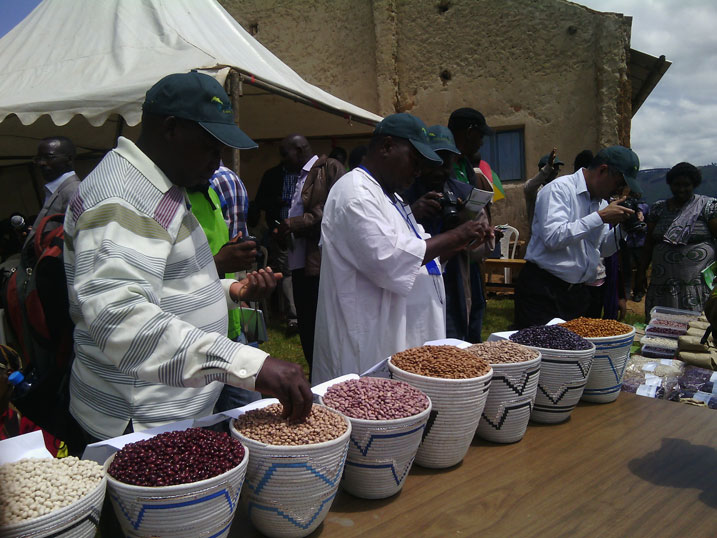 Amoko atandukanye y'ibishyimbo abaturage ba Burera bemeza ko byabateje imbere.