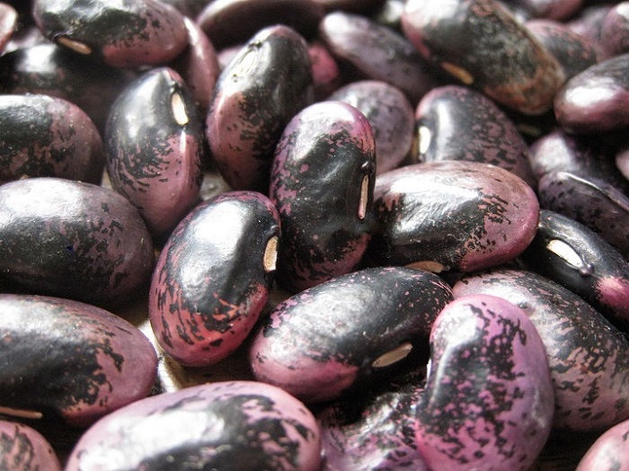 Ibishyimbo bifatwa nk